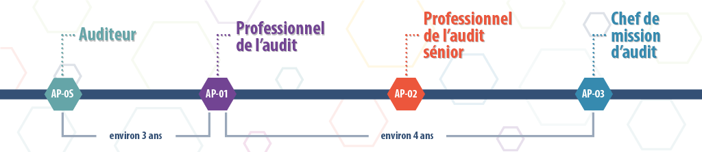 Organigramme montrant le nombre d’années qu’il faudra pour passer d’un stagiaire en audit à un professionnel de l’audit (environ 3 ans) et à un chef de mission d’audit (environ 4 ans)