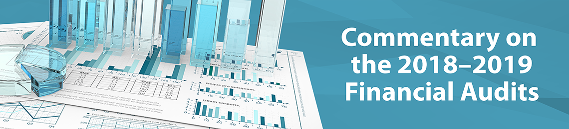Commentary on the 2018–2019 Financial Audits