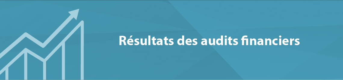 Résultats des audits financiers