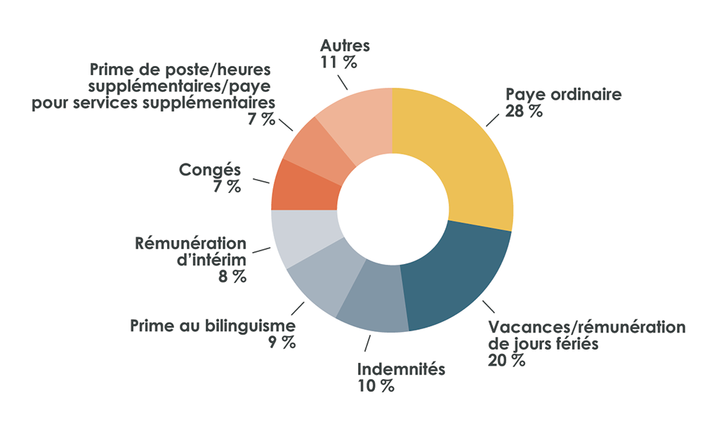 Diagramme circulaire qui montre les éléments de la paye des employés dans lesquels nous avons relevé des erreurs lors de nos travaux d’audit de 2018-2019