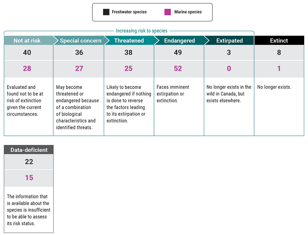 Chart showing the risk status of aquatic species we examined as at November 2021