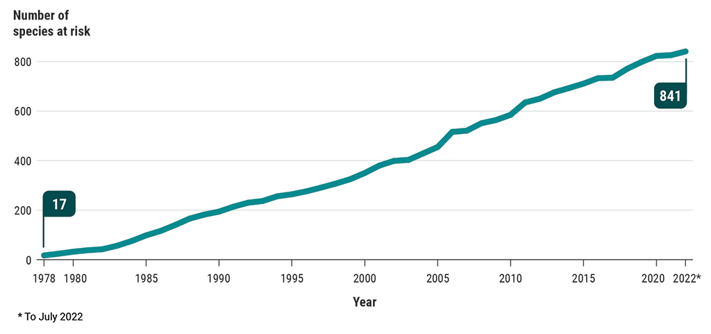 Line graph showing the number of species at risk assessed as extirpated, endangered, threatened, and special concern (1978 to 2022)