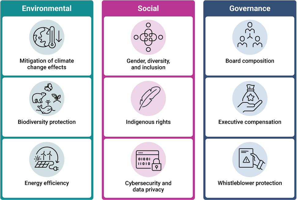 Chart showing examples of factors considered when assessing how well organizations perform on environmental, social, and governance matters