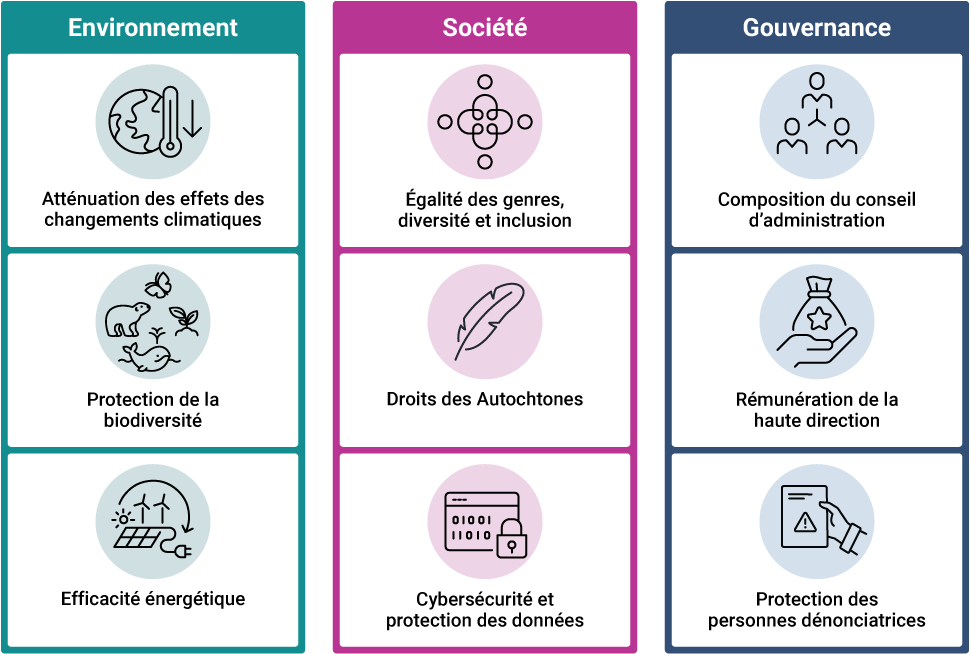 Graphique montrant des exemples de facteurs à considérer au moment d’évaluer le rendement des organisations en ce qui a trait aux questions touchant l’environnement, la société et la gouvernance