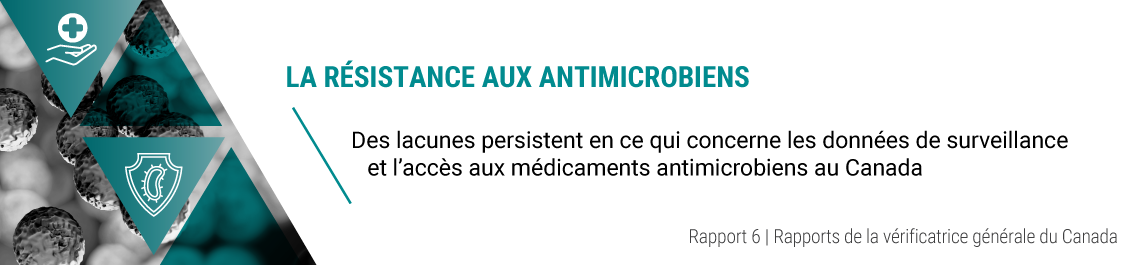 Rapport 6 — La résistance aux antimicrobiens