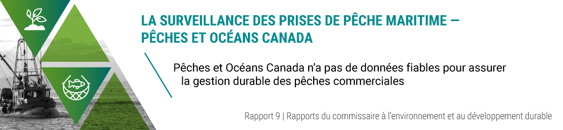 Rapport 9 — La surveillance des prises de pêche maritime — Pêches et Océans Canada