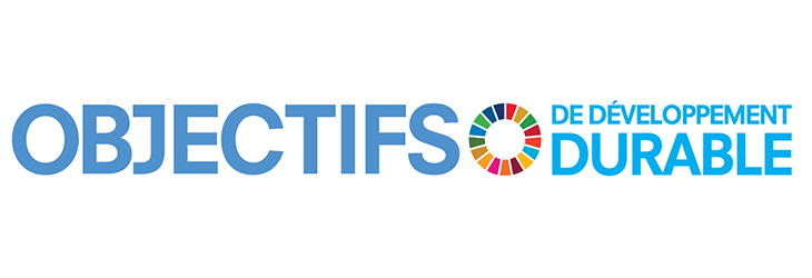 Tab 1: Les objectifs de développement durable des Nations Unies