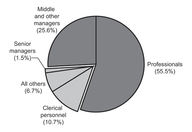 Pie Chart showing the distribution of employees in the Office of the Auditor General of Canada according to major occupational groups