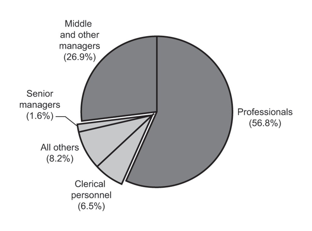 Pie Chart showing the distribution of employees in the Office of the Auditor General of Canada according to major occupational groups