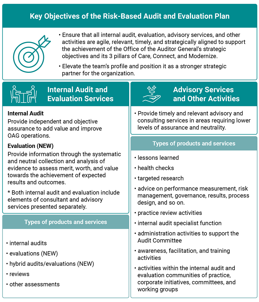 Flowchart summarizing the key objectives of the risk-based audit and evaluation plan