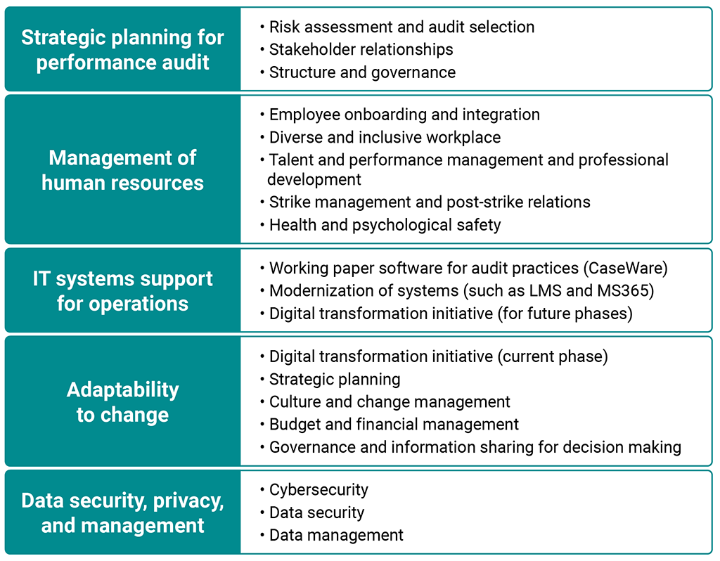 Flowchart outlining the top 5 risk areas that would benefit from work related to internal audit and evaluation