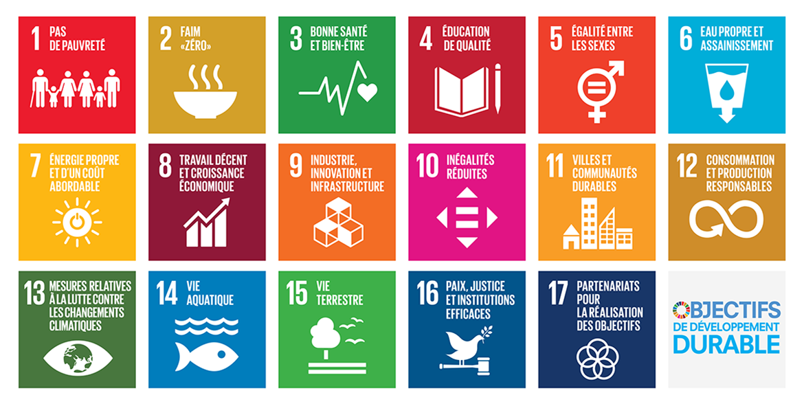 Image illustrant les 17 objectifs de développement durable des Nations Unies