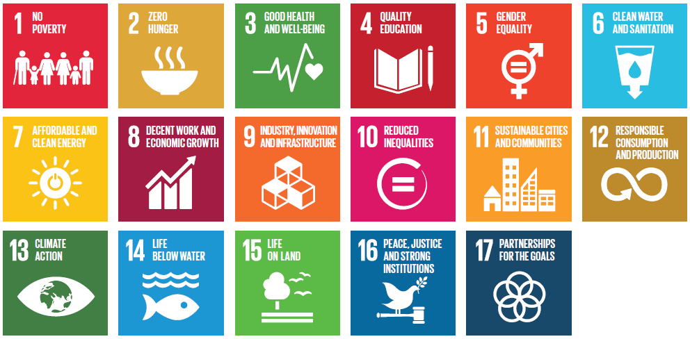 United Nations Sustainable Development Goals