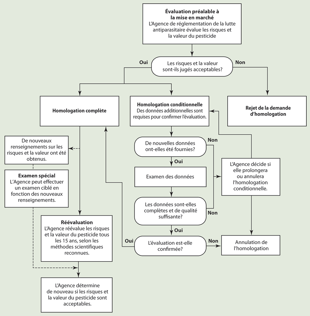 Diagramme qui résume le processus de réglementation des pesticides