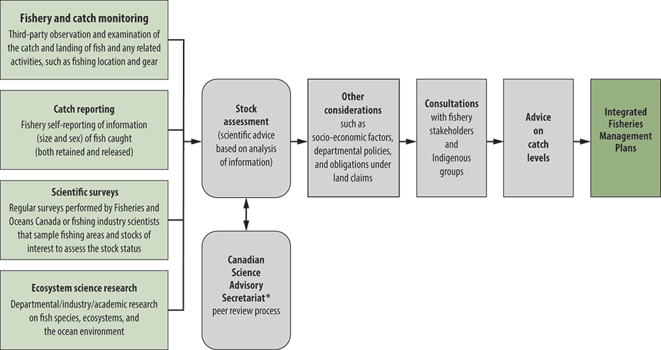 Flow chart showing the fisheries management process