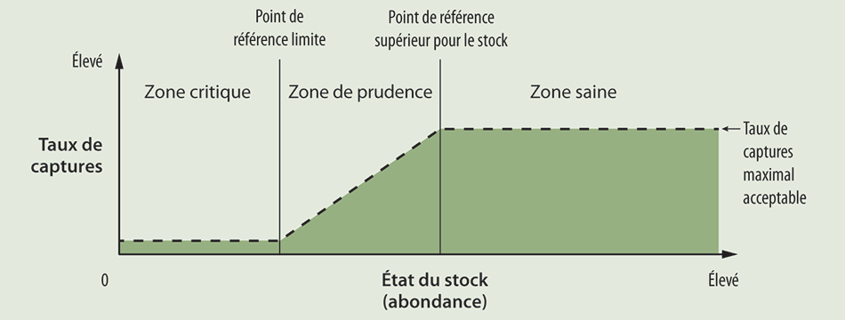 Graphique montrant l’approche adoptée pour déterminer les niveaux d’abondance selon lesquels les stocks de poissons peuvent être considérés comme étant dans la zone saine, la zone de prudence ou la zone critique.