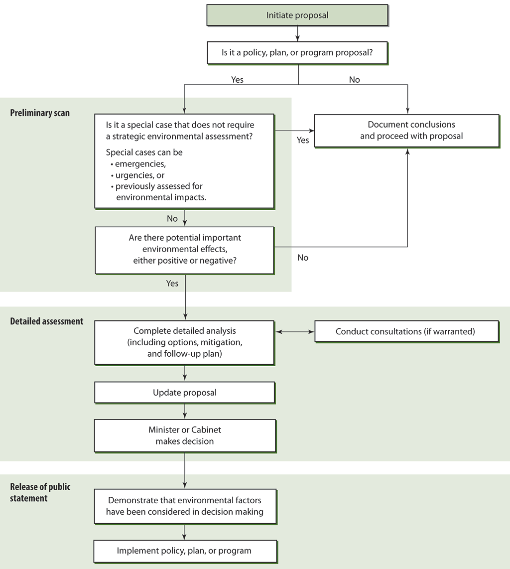 Flow chart showing the steps for federal departments and agencies to follow to assess environmental effects of policy, plan, or program proposals.