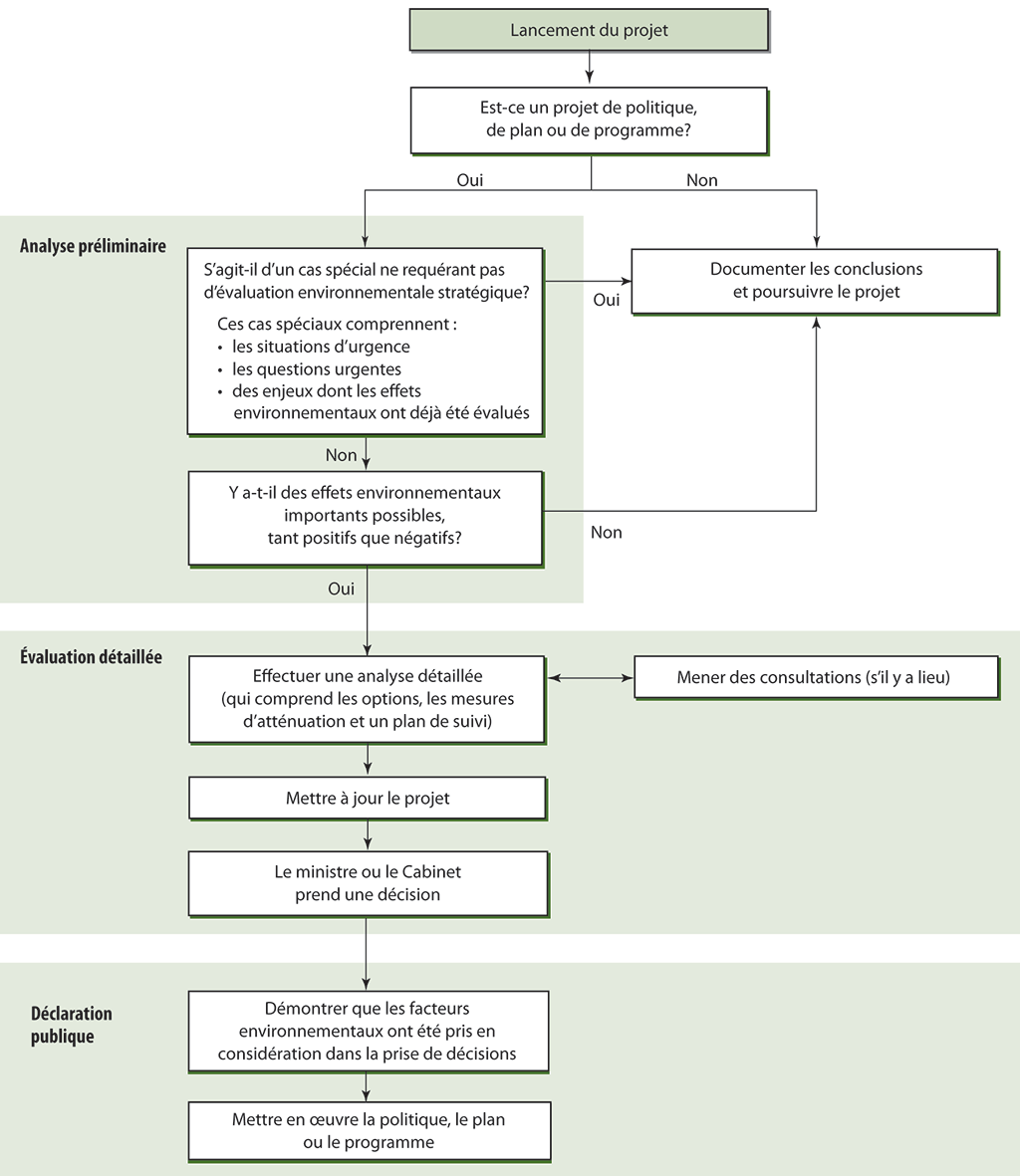 Diagramme montrant les étapes que doivent appliquer les ministères et organismes pour évaluer les effets sur l’environnement de leurs projets de politiques, de plans et de programmes.