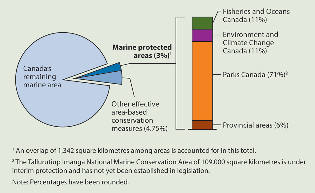 Pie chart showing that marine protected areas cover about 3% of Canada’s total marine area