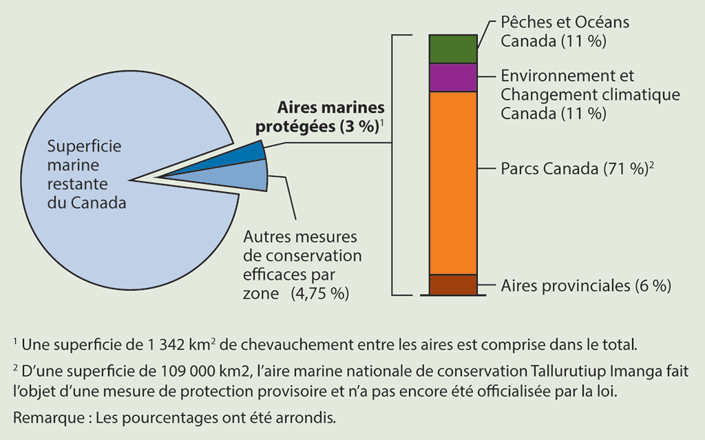 Ce diagramme circulaire illustre la proportion qu’occupent les aires marines protégées par rapport à la superficie marine totale du Canada, soit environ 3 %