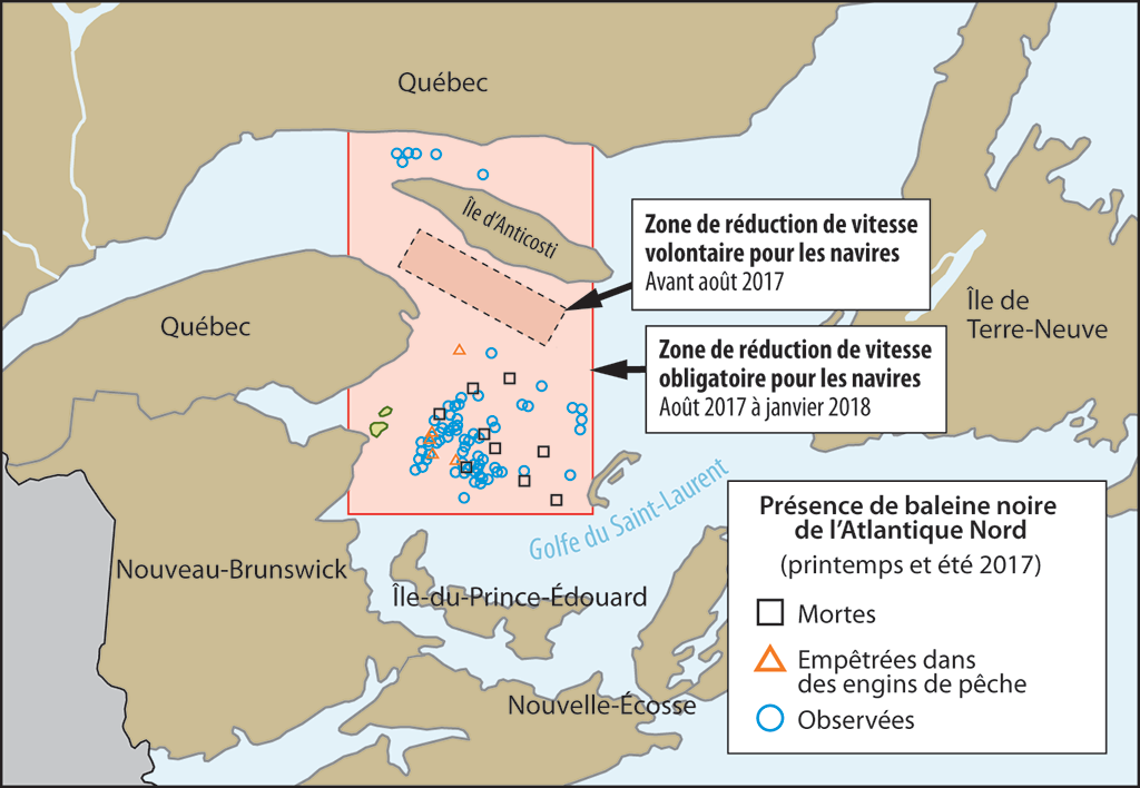 Carte illustrant la zone de ralentissement des navires dans le golfe du Saint-Laurent visant à protéger les baleines noires de l’Atlantique Nord, du mois d’août 2017 à janvier 2018