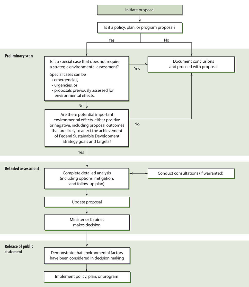 Flow chart showing the strategic environmental assessment process for federal departments and agencies to follow