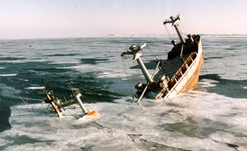 This photograph shows the Manolis L shipwreck in Notre Dame Bay, Newfoundland and Labrador