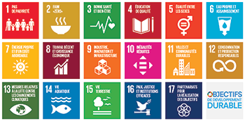 Cette image illustre le logo ainsi que les pictogrammes représentant les 17 objectifs de développement durable de l’Organisation des Nations Unies