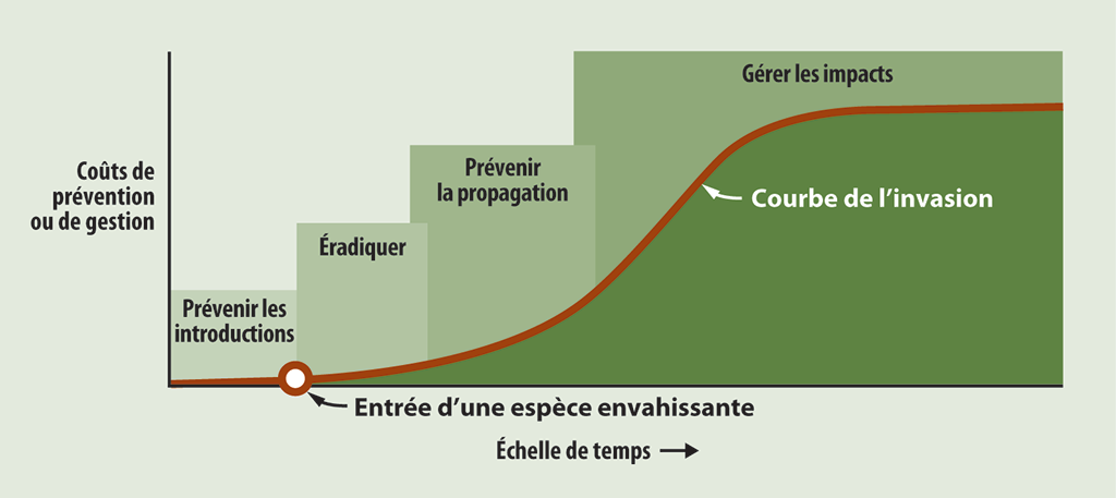 Diagramme montrant qu’il est moins coûteux de prévenir l’introduction d’une espèce aquatique envahissante que de gérer une espèce établie