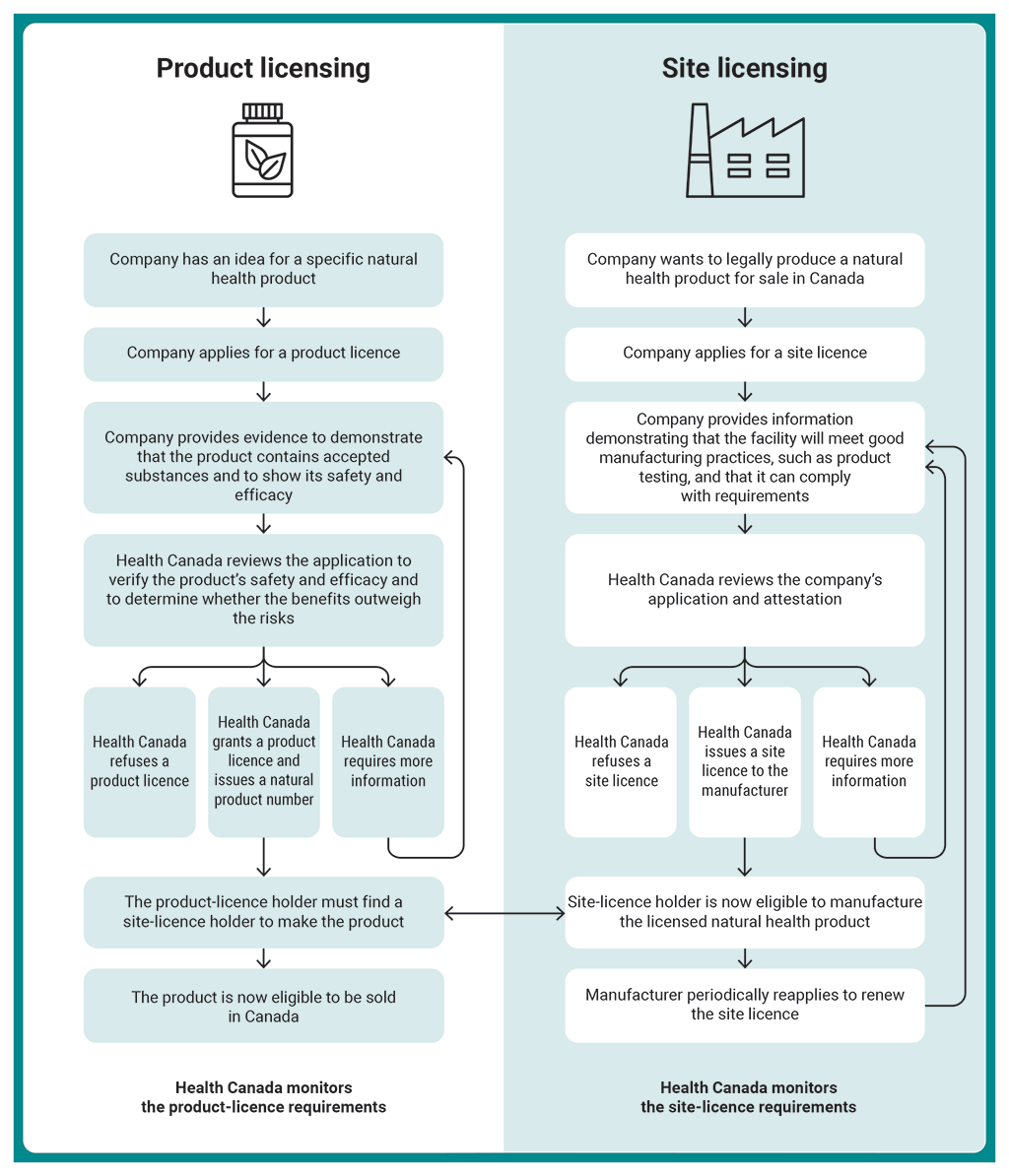 Flow chart that presents Health Canada’s processes for licensing natural health products and the sites that manufacture them