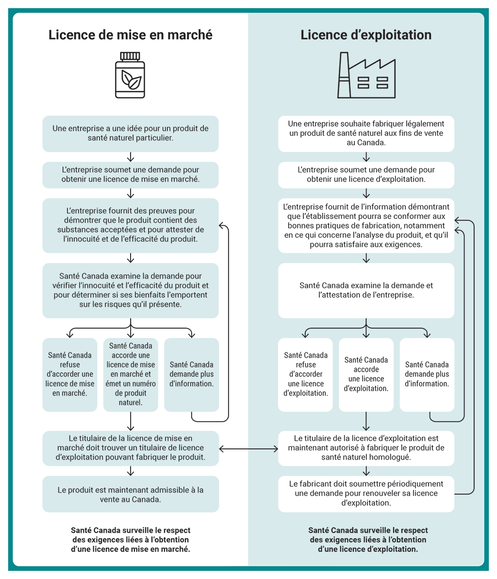 Organigramme qui présente les processus appliqués par Santé Canada pour délivrer une licence de mise en marché d’un produit de santé naturel et une licence d’exploitation pour la fabrication d’un tel produit