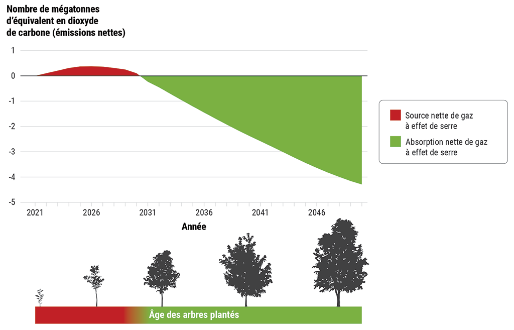 Graphique indiquant que le programme 2 milliards d’arbres devrait être une source d’émissions de gaz à effet de serre jusqu’en 2031, puis devenir un puits d’émissions