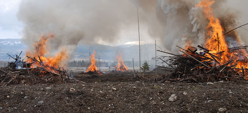 Multiple post-harvest slash piles on fire