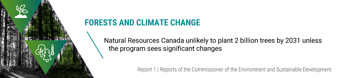 Report 1—Forests and Climate Change