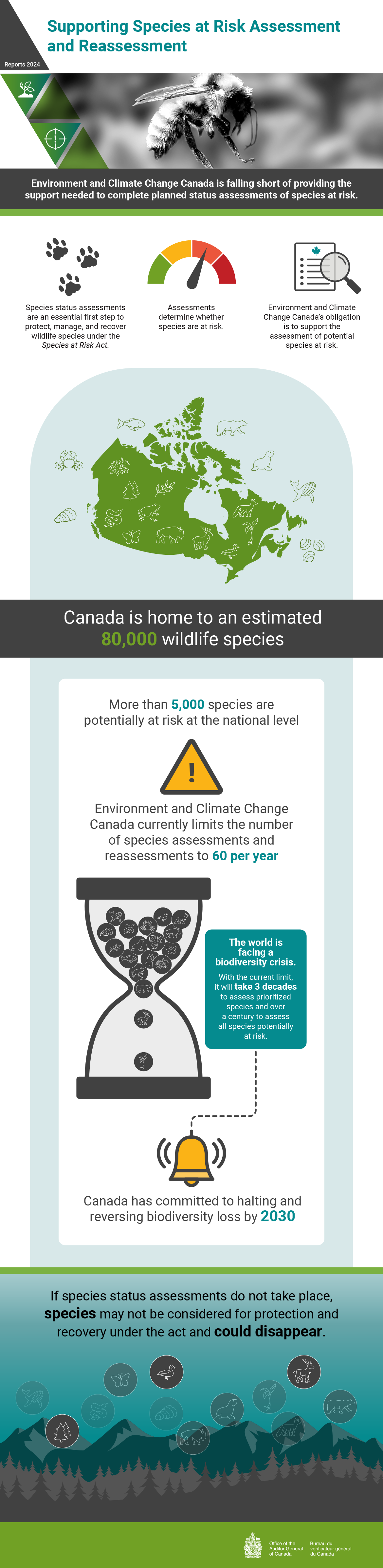 Infographic about the 2024 audit report on Supporting Species at Risk Assessment and Reassessment