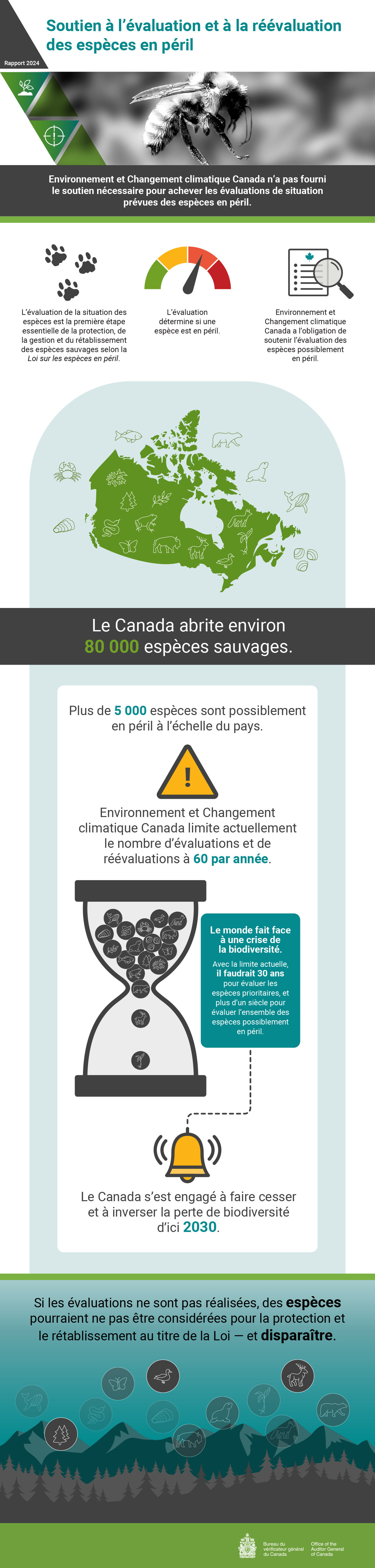 Infographie au sujet du rapport d’audit de 2024 sur le soutien à l’évaluation et à la réévaluation des espèces en péril