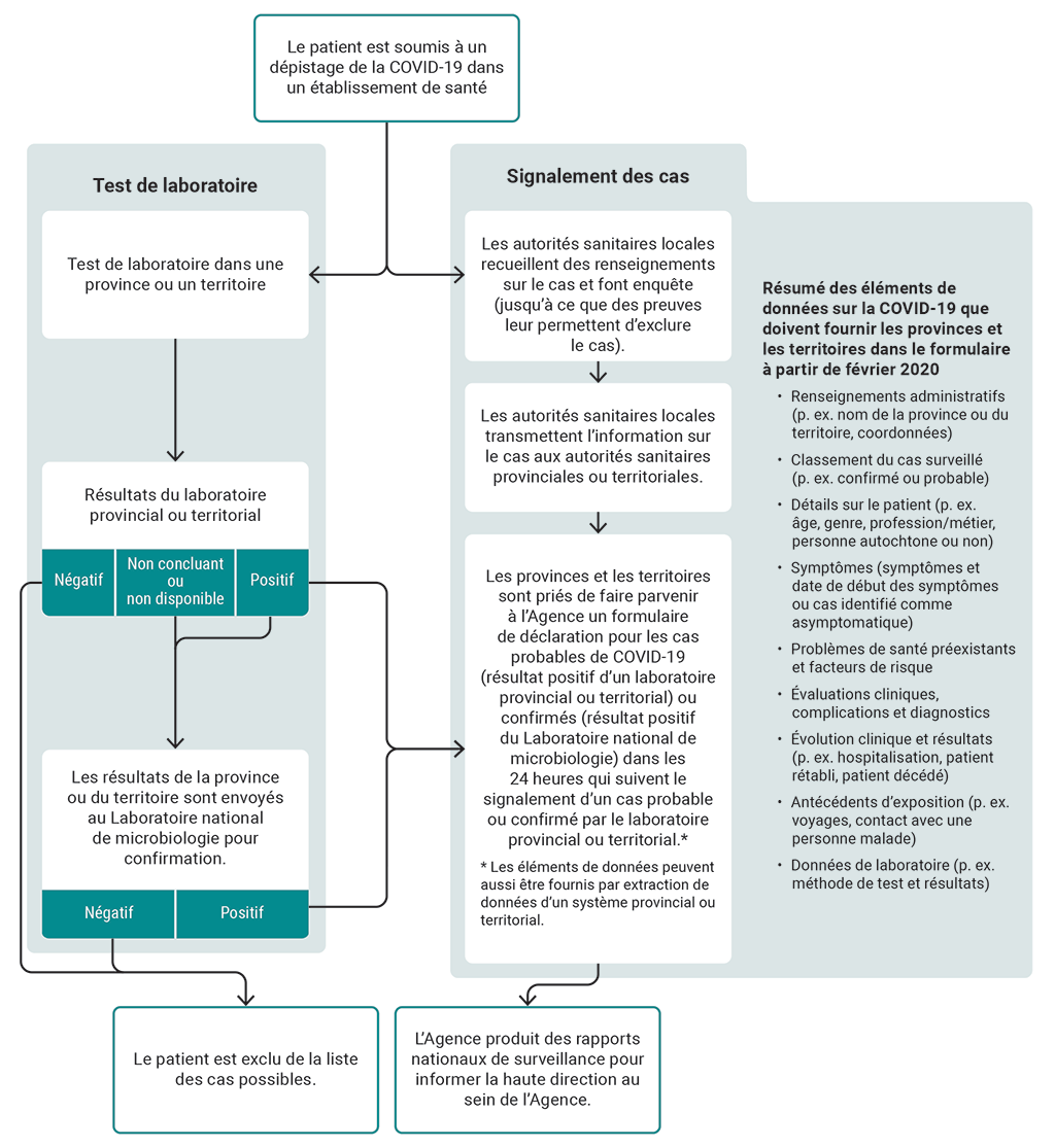 Organigramme illustrant le processus de signalement des cas, qui commence par le dépistage de la COVID-19 chez des patients dans les provinces et les territoires et se termine par la production de rapports nationaux de surveillance