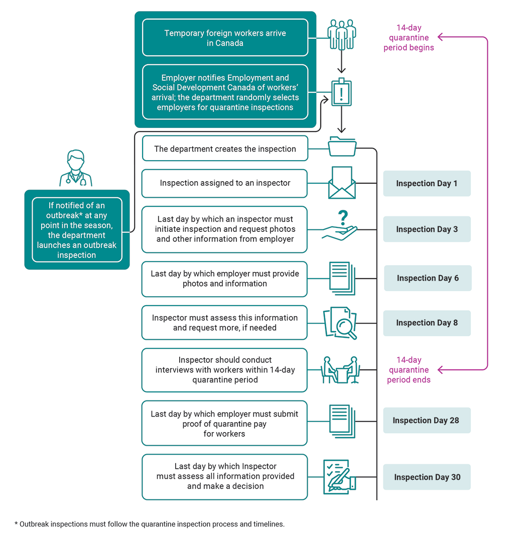 Chart showing Employment and Social Development Canada’s quarantine inspection process